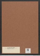 Homoeocladia sp. (de-Toni-Nr.: Genus 48) Zeichnungen Sammlung Grunow Mappe 02397 (Herbarium_W_Grunow_drawings_Folder_02397)